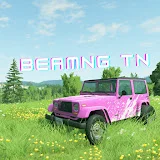 BeamNG TN