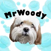 MrWoody