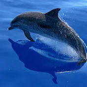 ともきのデジモノ実験室