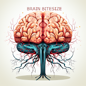 Brain Bitesize