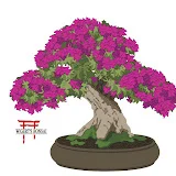 Wigert's Bonsai