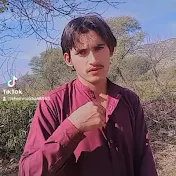 all pashto songs