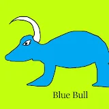 Blue Bull