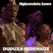 Duduza Serenade - Topic