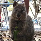 びぼーろくちゃんねる