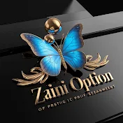 Zaini Option