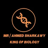 Mr Ahmed Sharkawy أحمد شرقاوى