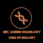 Mr Ahmed Sharkawy أحمد شرقاوى