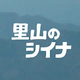 里山のシイナ