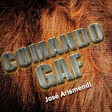 José Arismendi Comando GAF