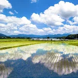 私たちが知らない日本【街頭インタビュー】