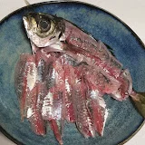 魚好き