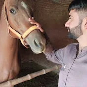 Faizan Tarar 🐎