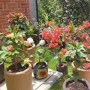 Lupita en sus Jardines