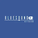 Bluesound Diffusion