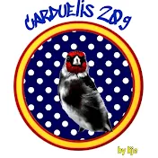 carduelis209