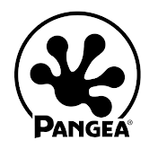 Pangea Reptile