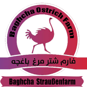 Ostrich Farm Baghcha .فارم شتر مرغ باغچه