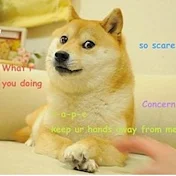 Doge Gaming