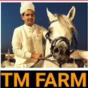 Horse farm (TM farm)