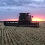 Gebhardt Harvesting