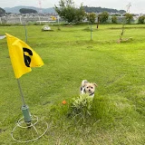 ちょっと見られぇチャンネル