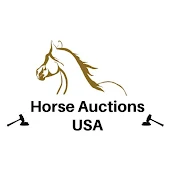 Horse Auctions USA