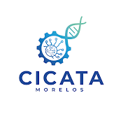 Cicata Morelos