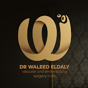 Dr. Waleed ElDaly - دكتور وليد الدالي