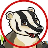 Badger Guides