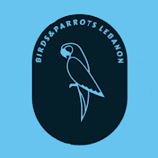 birds and parrots lebanon