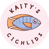 Kaity's Cichlids