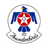 Flight Simulator Thunderbirds