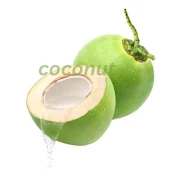 Coconut