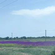 Владимир Спильный Агроном