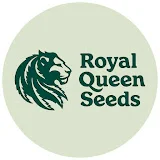 Royal Queen Seeds