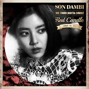 SON DAM BI - Topic