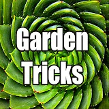 GardenTricks