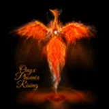 Onyx Phoenix Rising