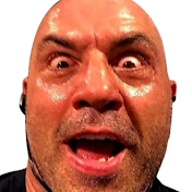 Rogan Shorts