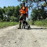 Second Chance Bird Dogs