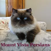 Mount Vista Persians of Arkansas