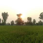 Pind De Nazary