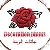 نباتات الزينة Decoration Plants