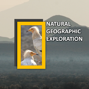 Natural Geographic Exploration / Wildlife of Iran