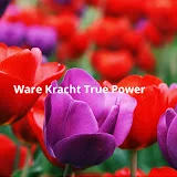 Ware Kracht True Power