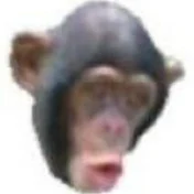 PogChimp