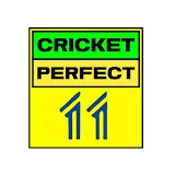 Cricket Perfect 11