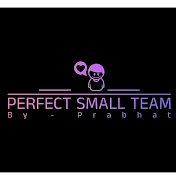 PERFECT SMALL TEAM