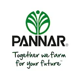 Pannar Seed